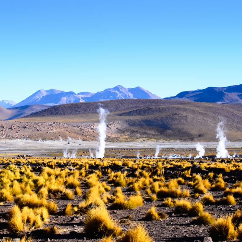 geysers of the atacama desert