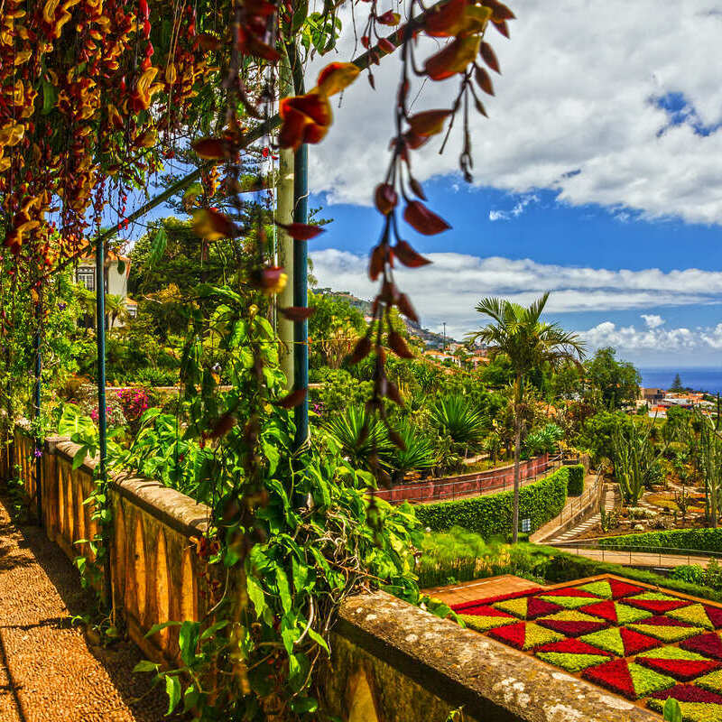 Tropical Gardens In Madeira, An Atlantic Island Part Of Portugal