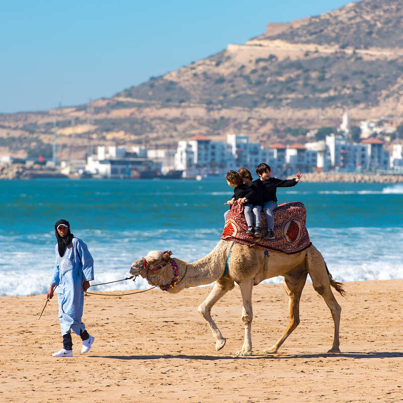 Tourists Riding A Camel In Agadir, A Coastal Resort City On The Atlantic Coast Of Morocco, North Africa