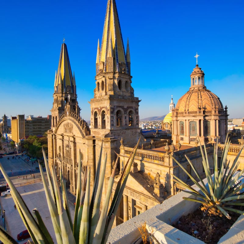 cathedral in guadalajara