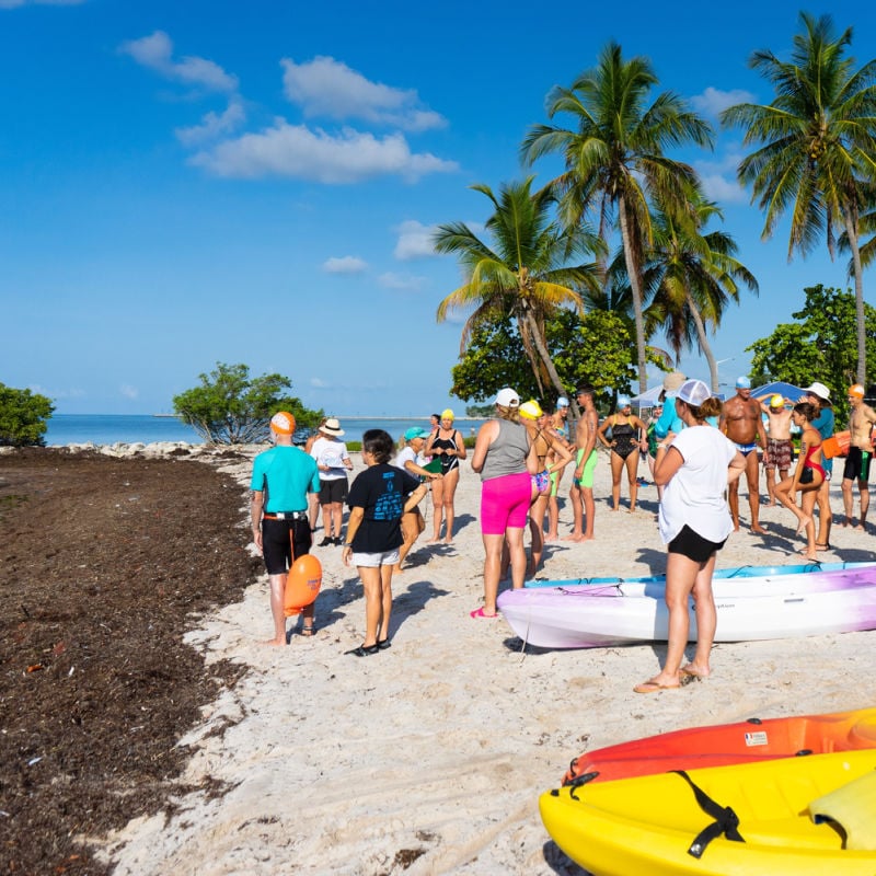 tourists and sargassum on florida beach