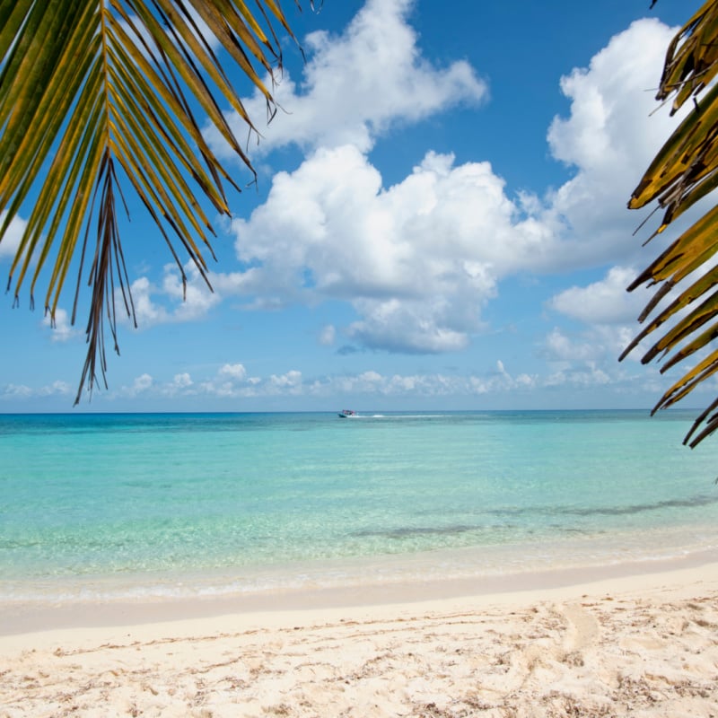 tropical beach in Cozumel, Mexico