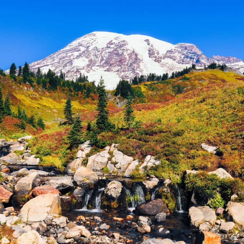 Edith Creek in Mount Rainier National Park