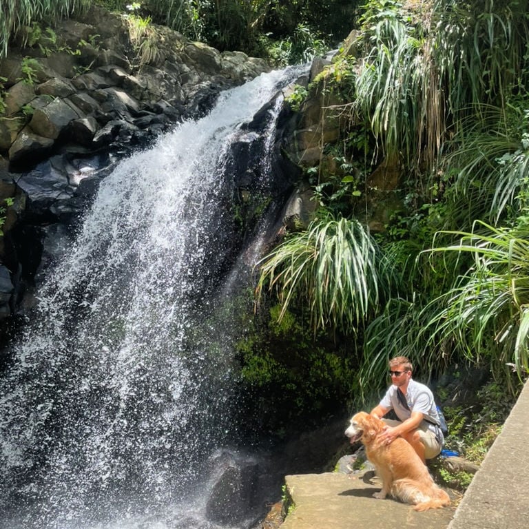 Man in front of Annandale Falls in Grenada with his dog