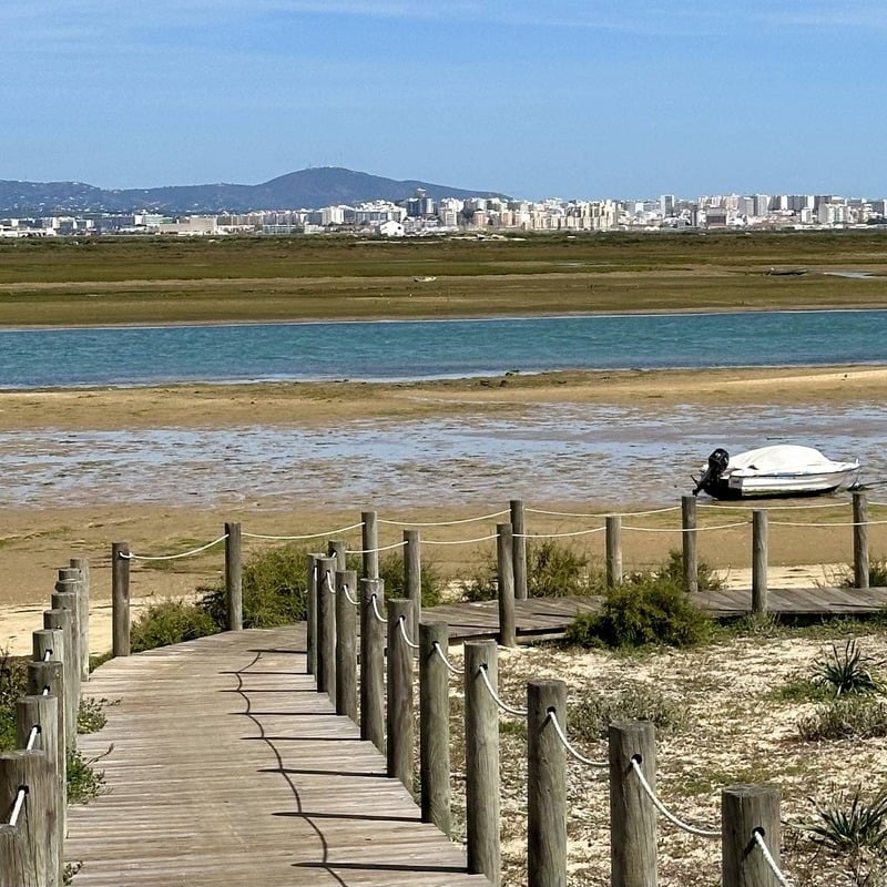 Rio Formosa Park In The Algarve, Southern Portugal, Southern Europe