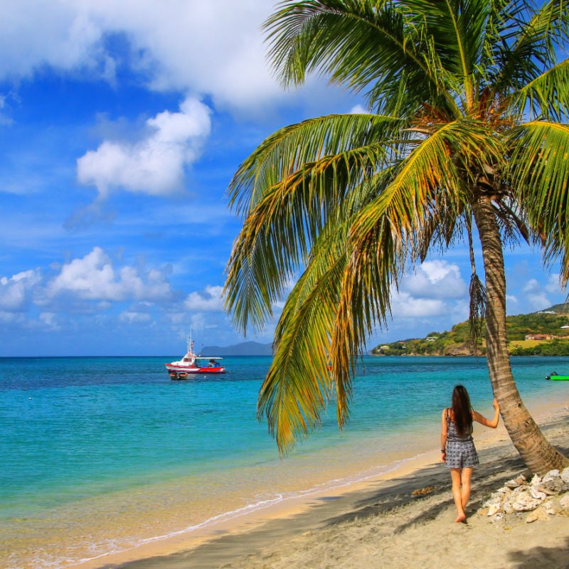 Young woman standing by a palm tree at the beach, Hillsborough Bay, Carriacou Island, Grenada