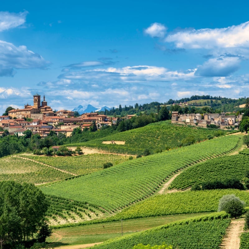 landscape of Monferrato (Asti, Piedmont, Italy) at summer, with vineyards