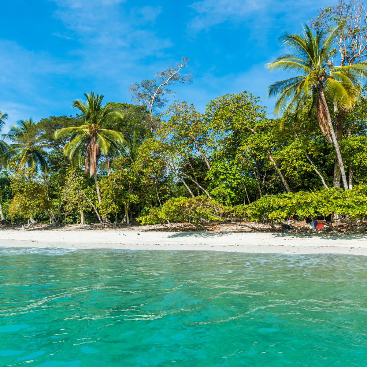 Beach in Costa Rica