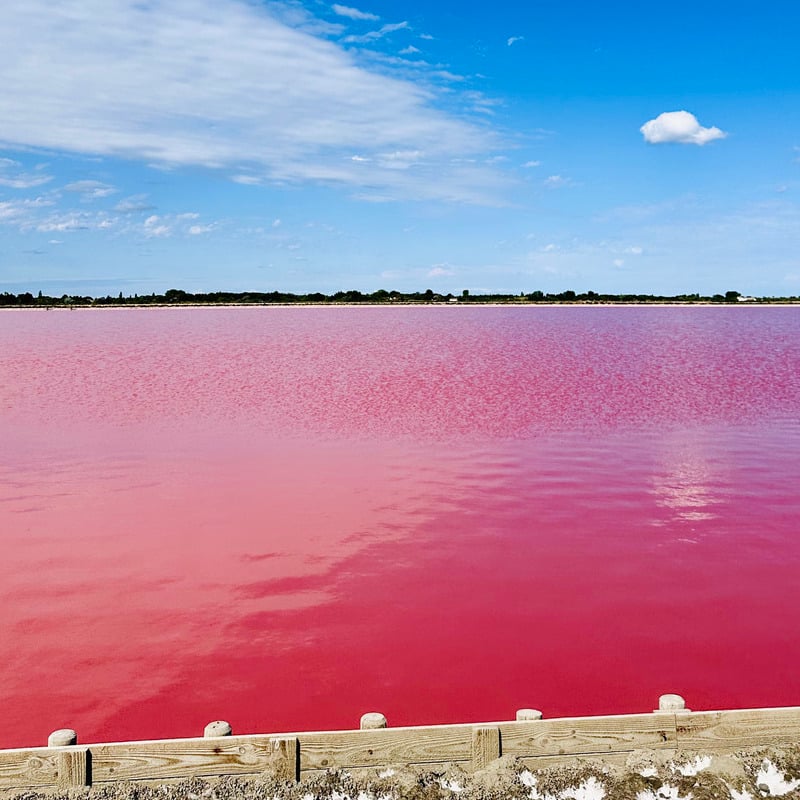 Pink Lake In The Salines Of Aigues-Mortes, Camargues Region Of Southern France, Southern Europe