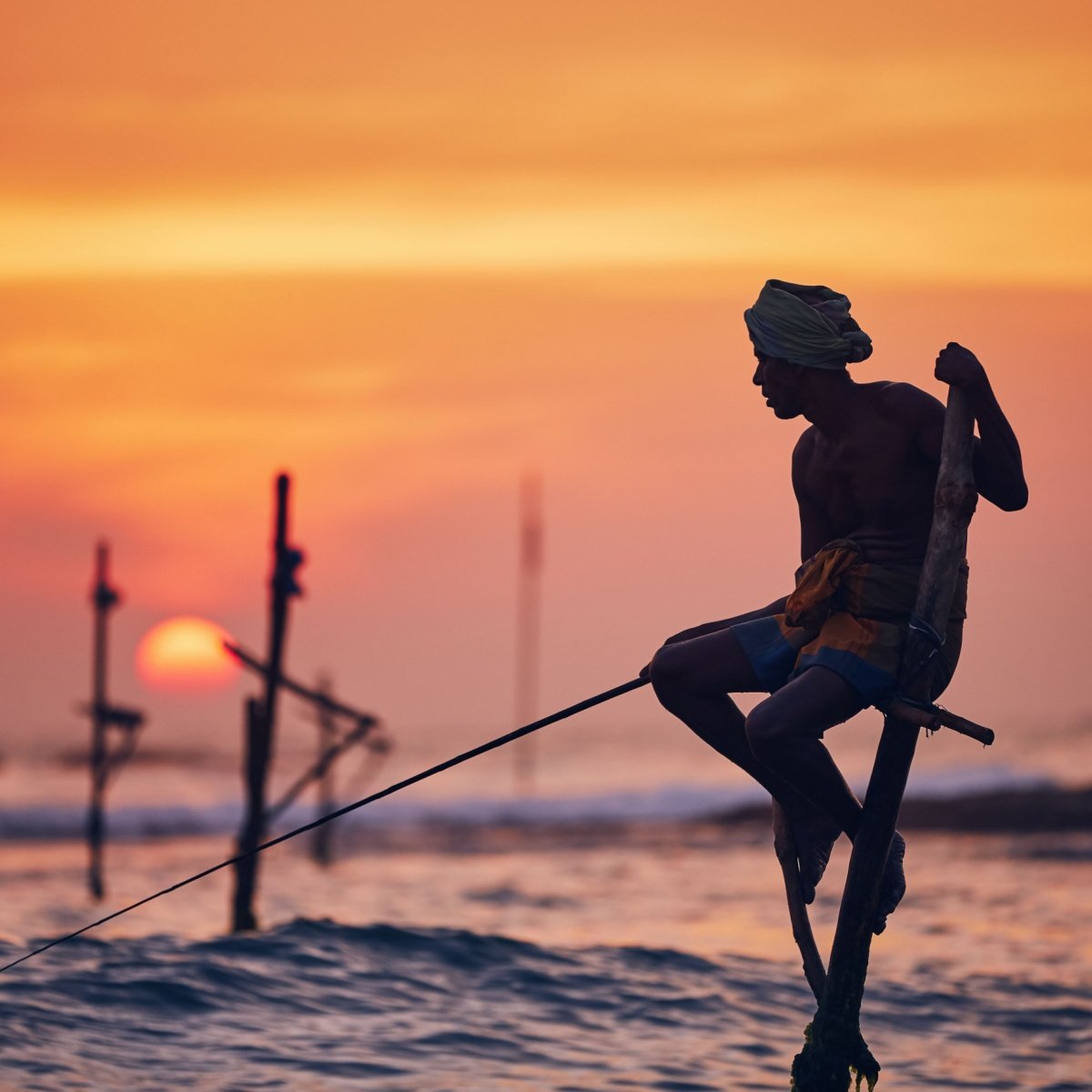 Silhouette of the traditional fisherman. Traditional stilt fishing near Galle in Sri Lanka.