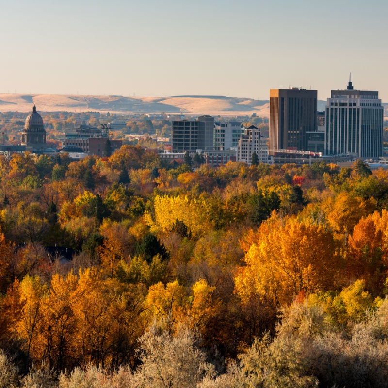 Fall foliage of Boise