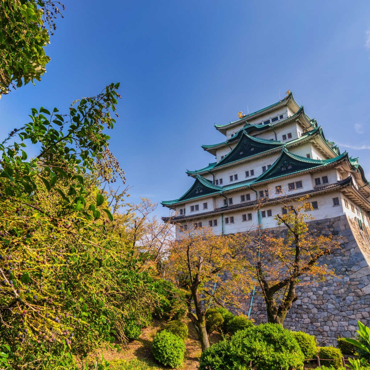 Nagoya Aichi Japan, autumn season at Nagoya Castle