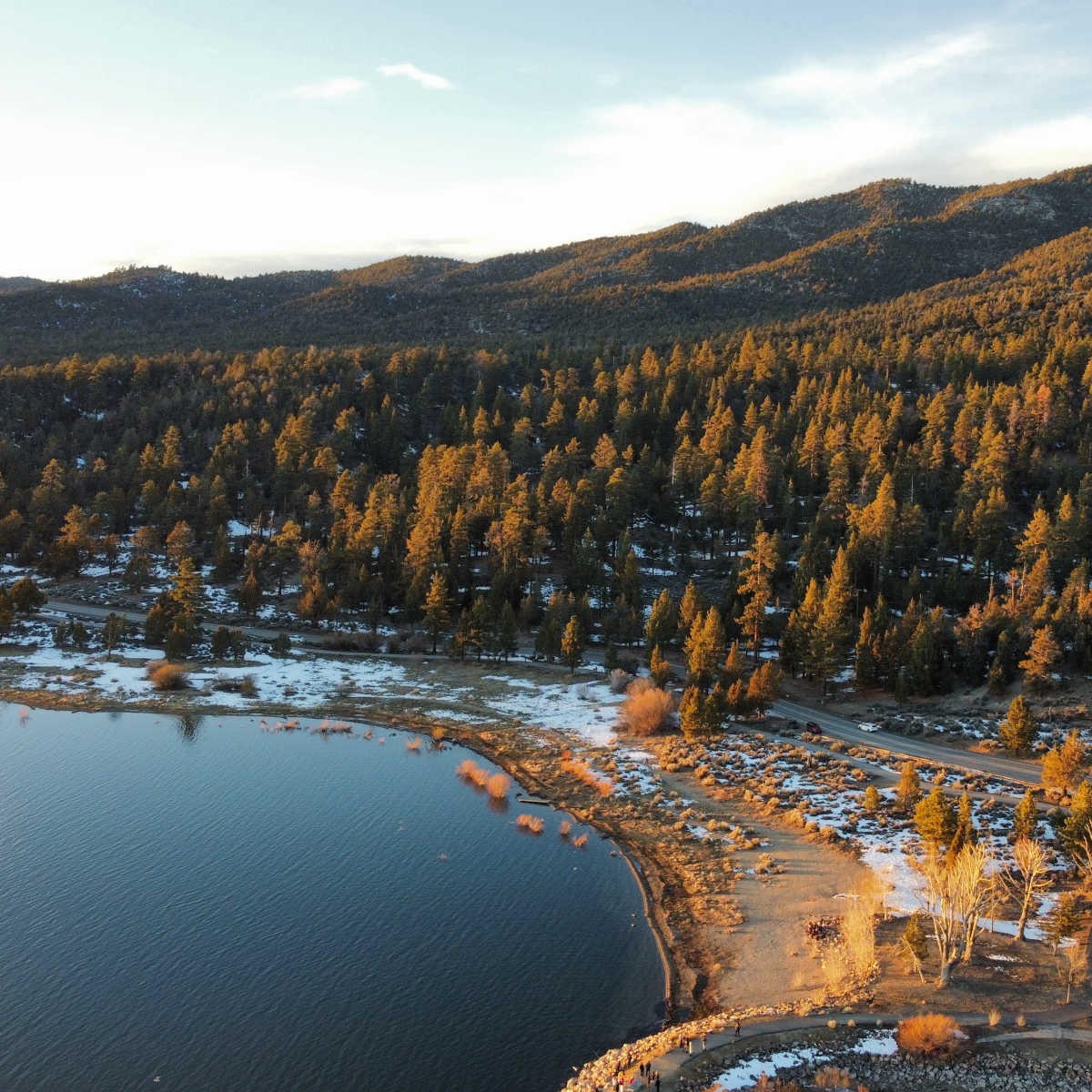 San Bernardino National Forest in fall