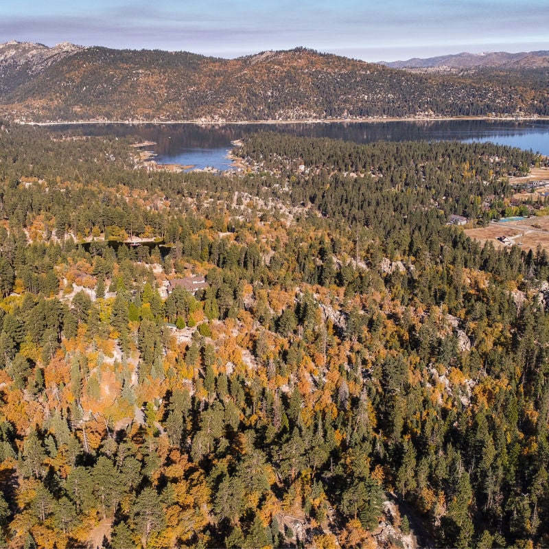 Wilderness of Big Bear in fall