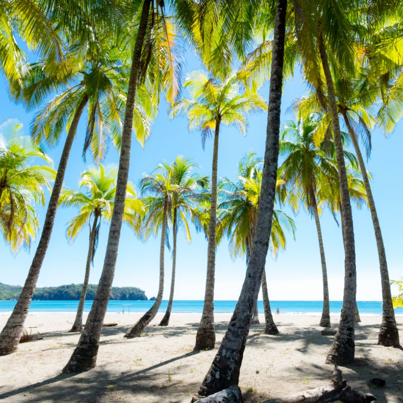 puerto carrillo beach in costa rica