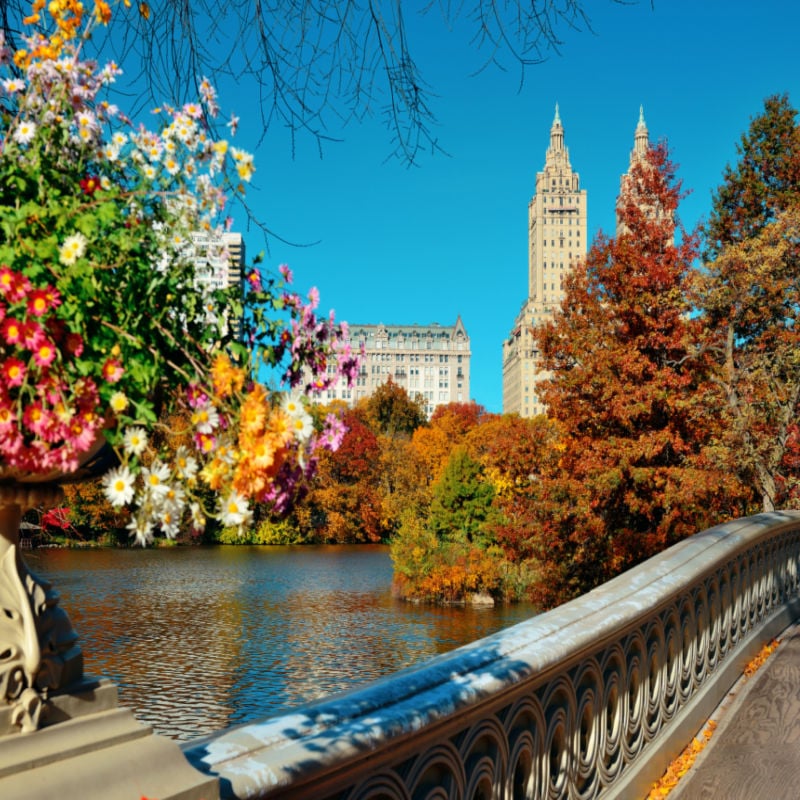 Central Park in autumn, New York City