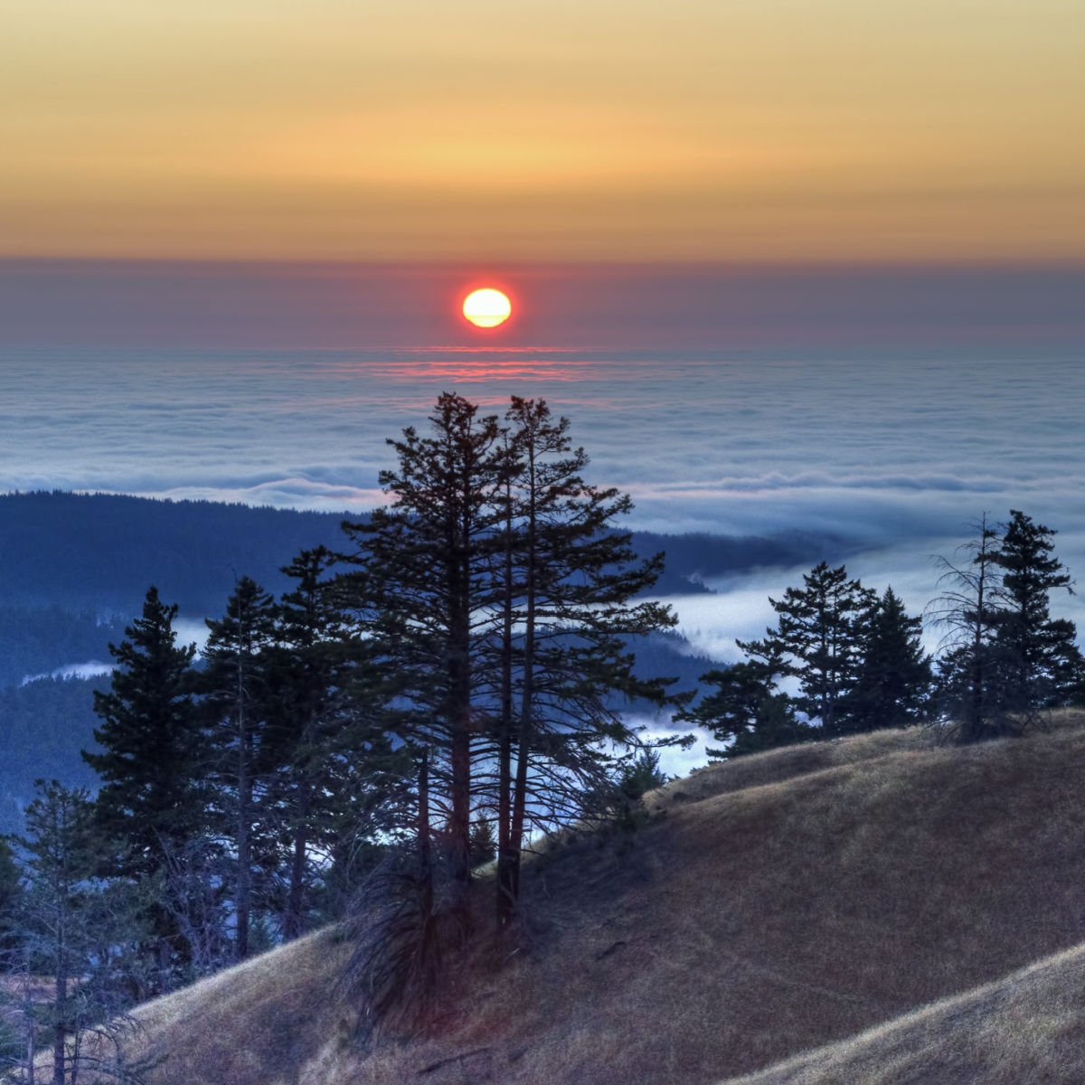 Elk, CA sunset