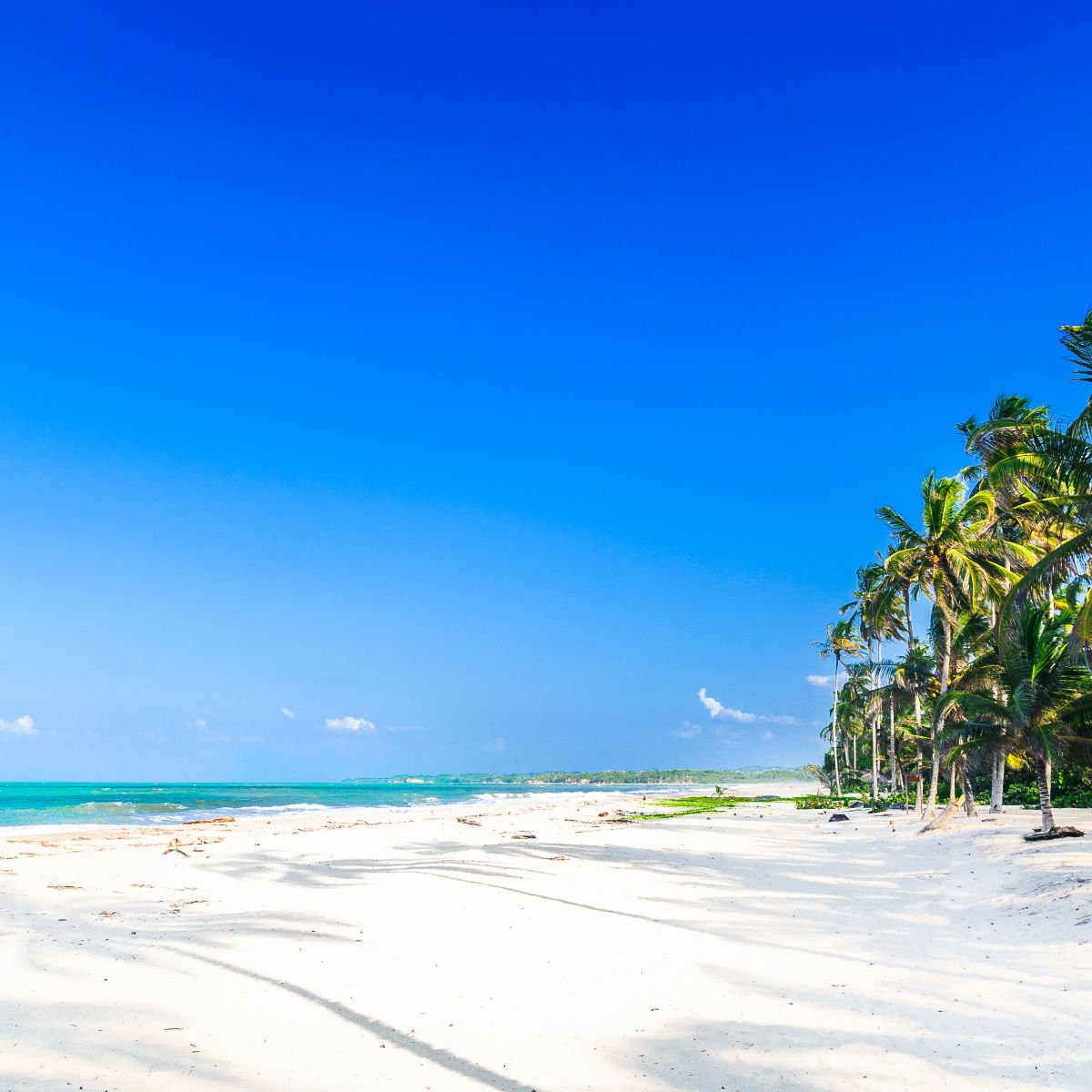 Palomino Beach in Colombia