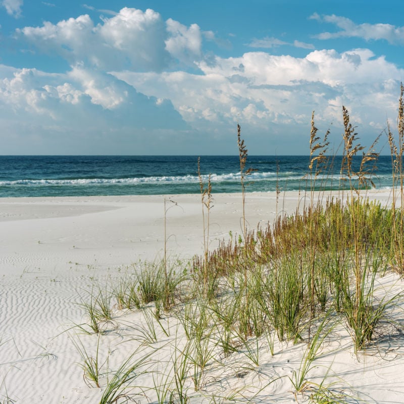 White sand and sea oats on Fort Pickens beach