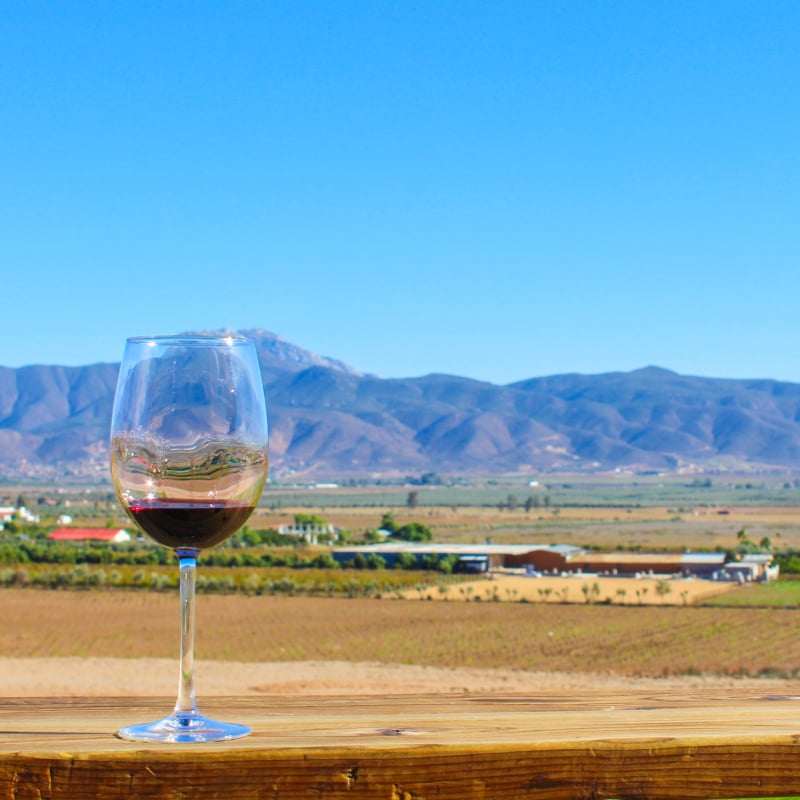 Wine glass in Valle de Guadalupe