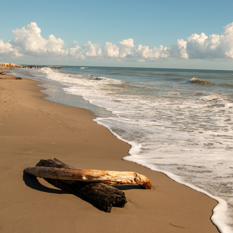 Beach in Comacchio