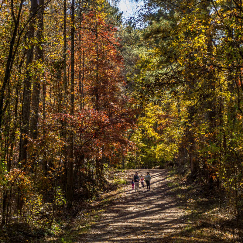 Hiking near Marietta in fall