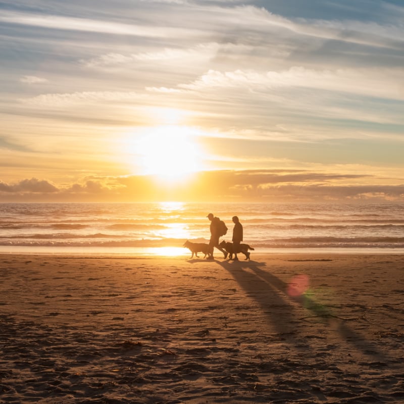 Walking dog on Rockaway Beach, OR